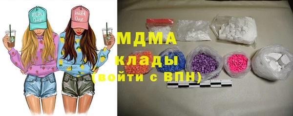 гашик Алексин