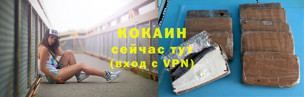 гашик Алексин