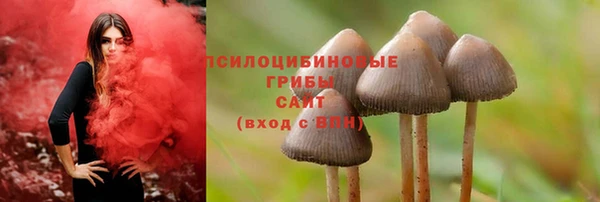 спайс Фёдоровский