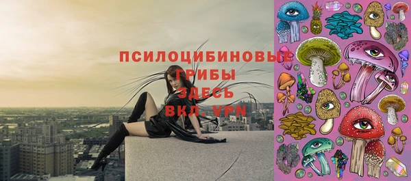 мяу мяу мука Алексеевка
