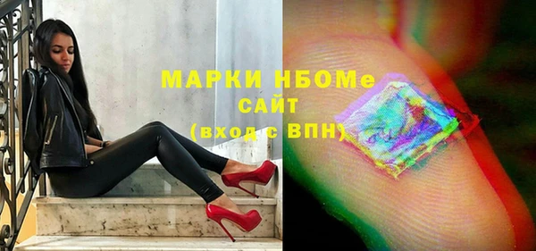 гашик Алексин