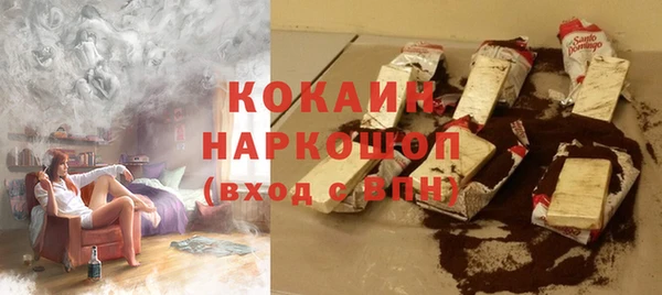 гашик Алексин