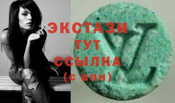 гашик Алексин