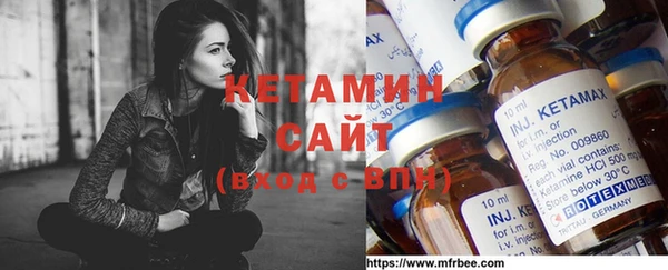 гашик Алексин