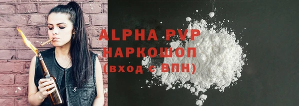 гашик Алексин
