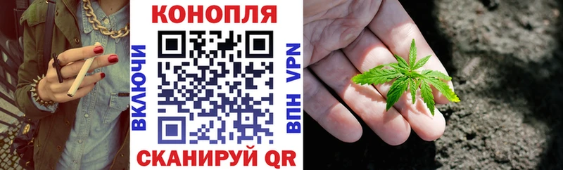 продажа наркотиков  Камешково  Конопля индика 